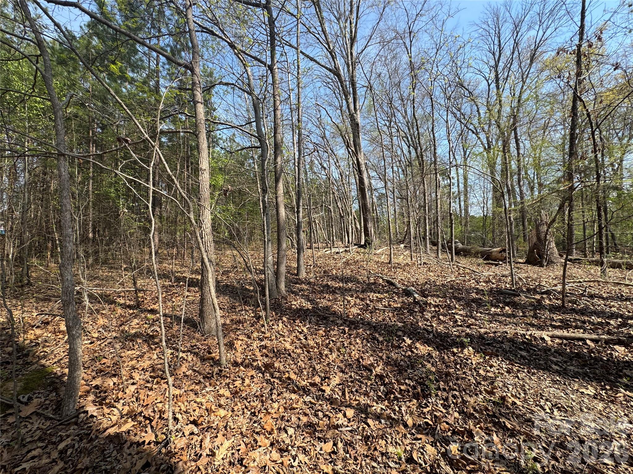 2228 Sam Newell Road Matthews, NC 28105 - Photo 6 of 18