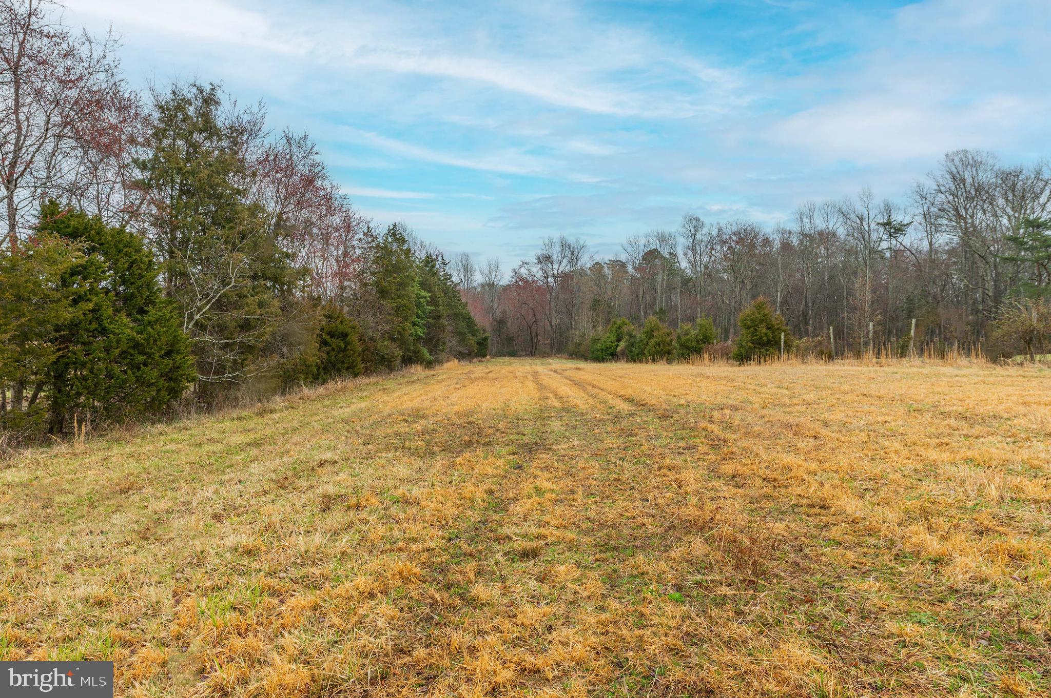4033 Partlow Road Partlow, VA 22534 - Photo 6 of 26