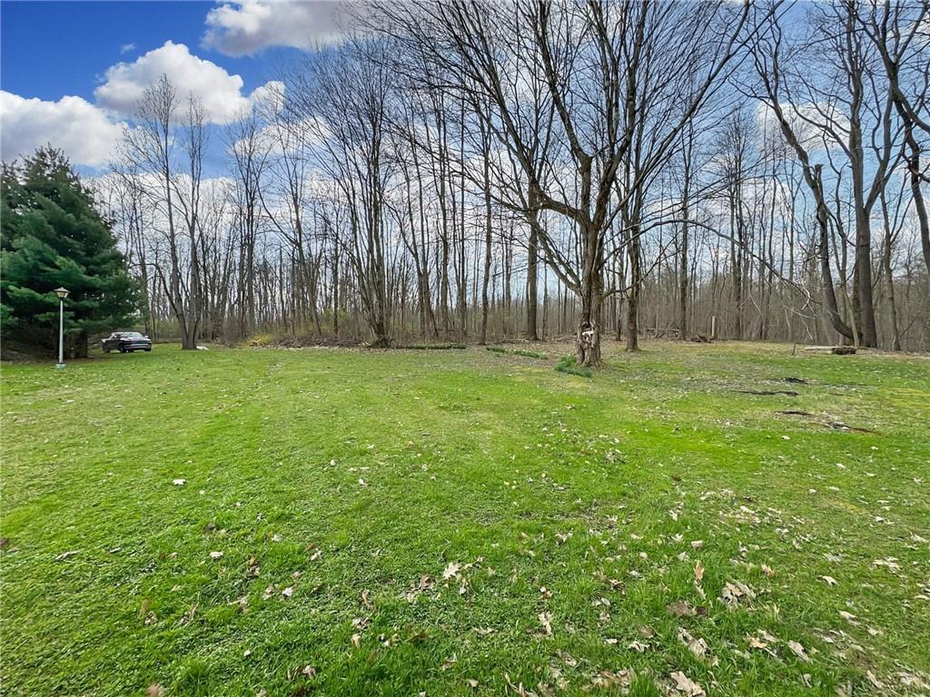 22441 Rockdale Road Cambridge Springs, PA 16403 - Photo 19 of 22 a backyard of a house with lots of green space