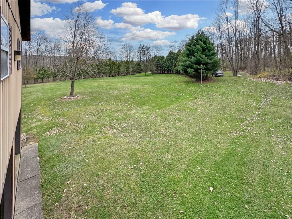 22441 Rockdale Road Cambridge Springs, PA 16403 - Photo 20 of 22 a view of a field with a tree
