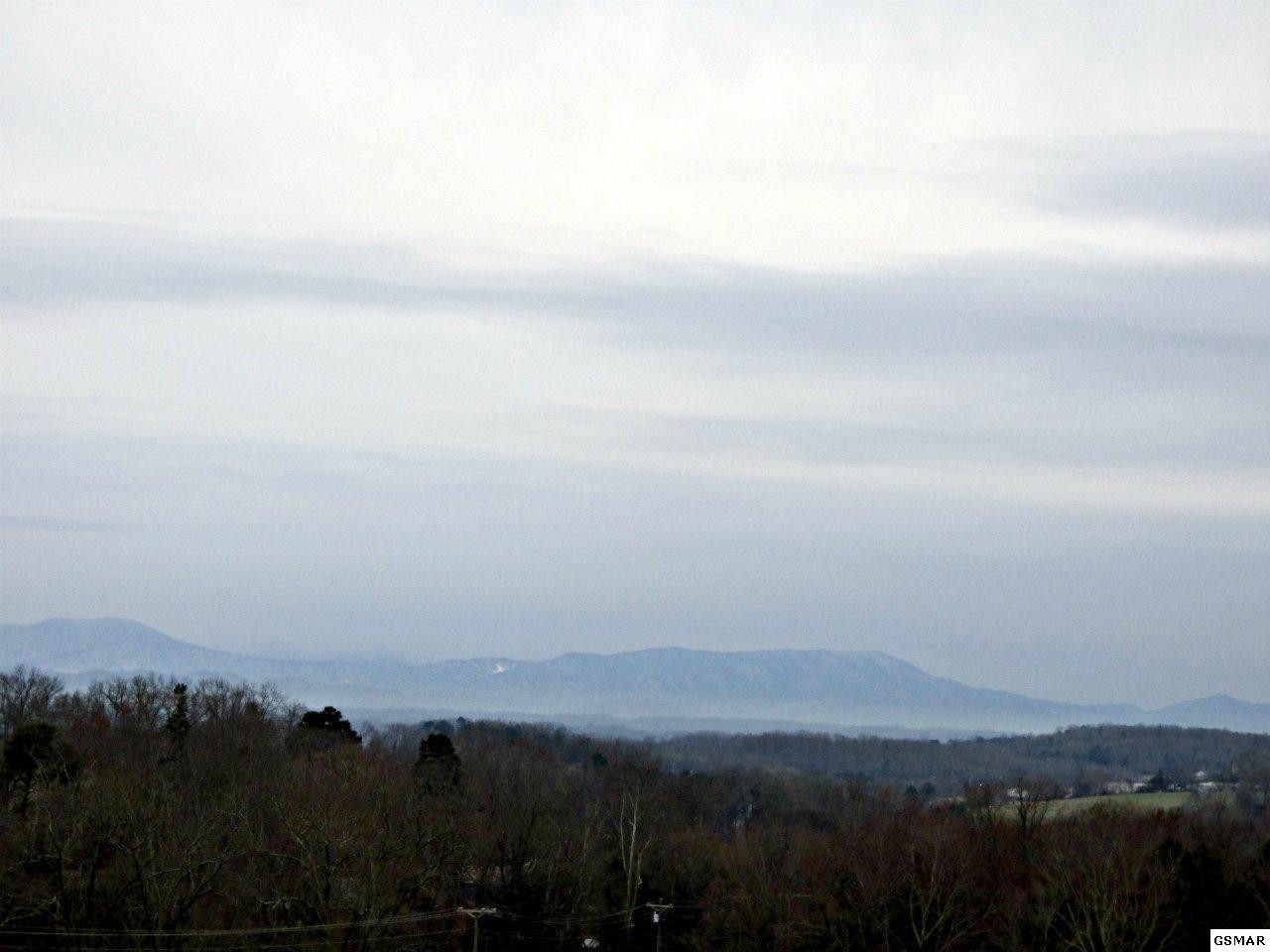 4 Valley Home Road Dandridge, TN 37725 - Photo 28 of 30 Gallery Image 28