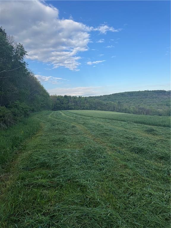 0 Grove Road Stoystown, PA 15563 - Photo 19 of 34
