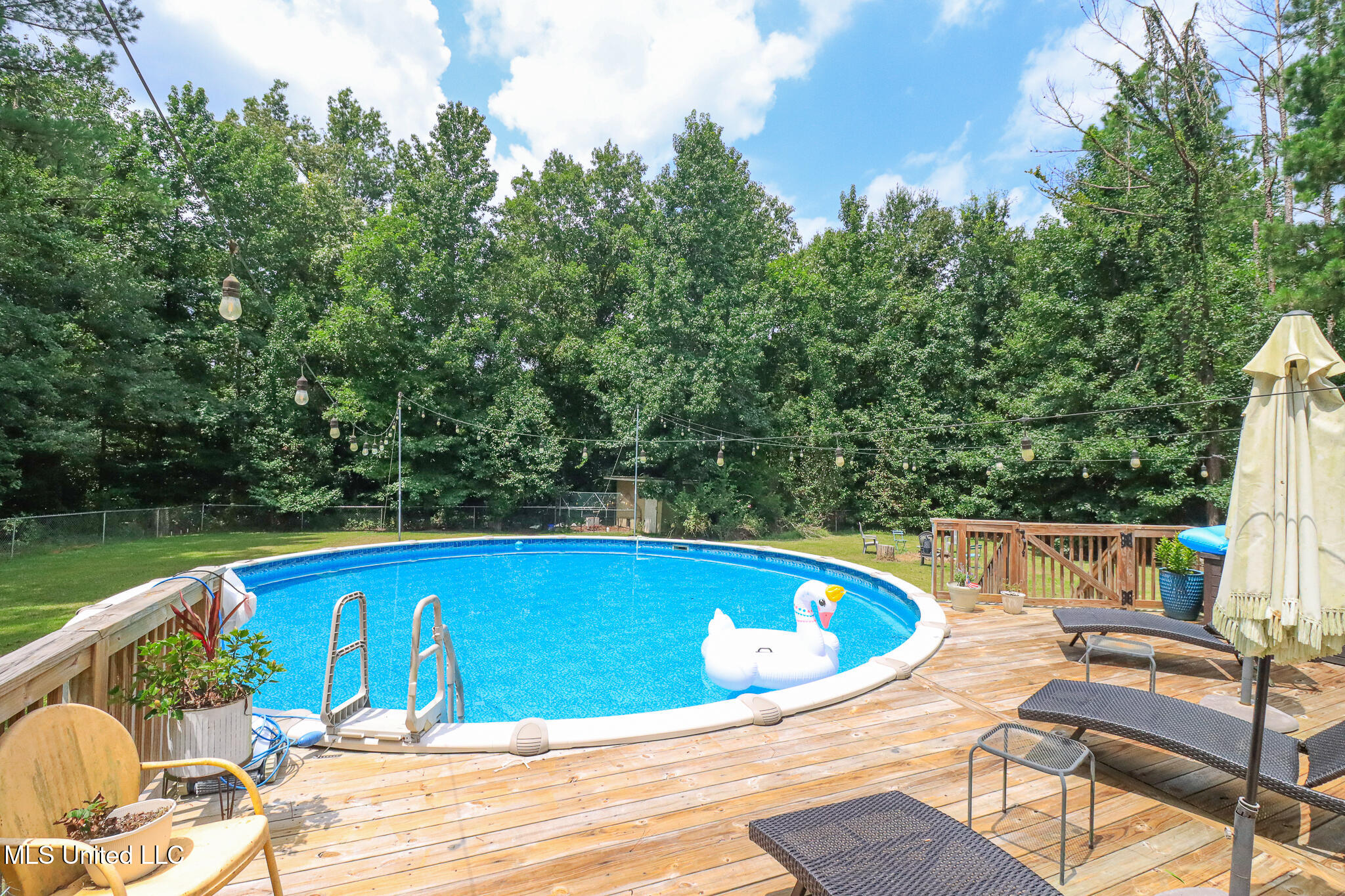 3131 Highway 43 Brandon, MS 39047 - Photo 40 of 58 pool