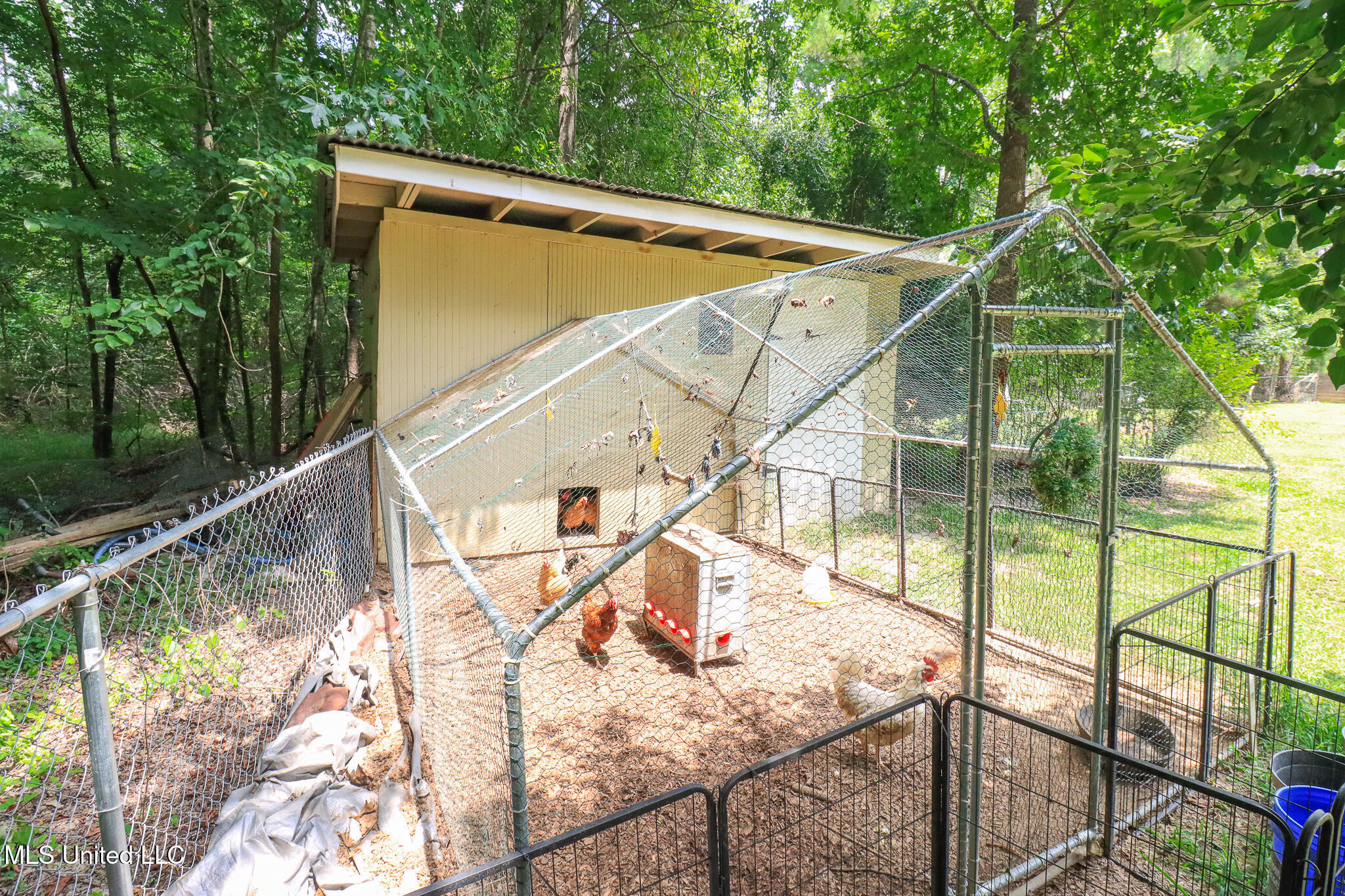 3131 Highway 43 Brandon, MS 39047 - Photo 43 of 58 chicken coop