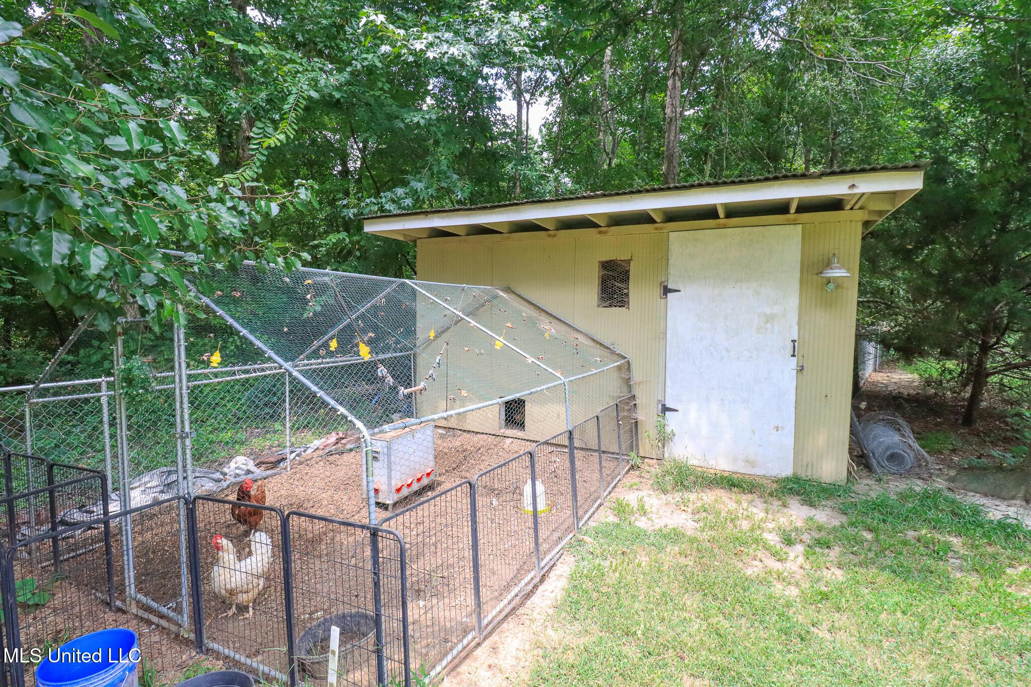 3131 Highway 43 Brandon, MS 39047 - Photo 44 of 58 chicken coop 2