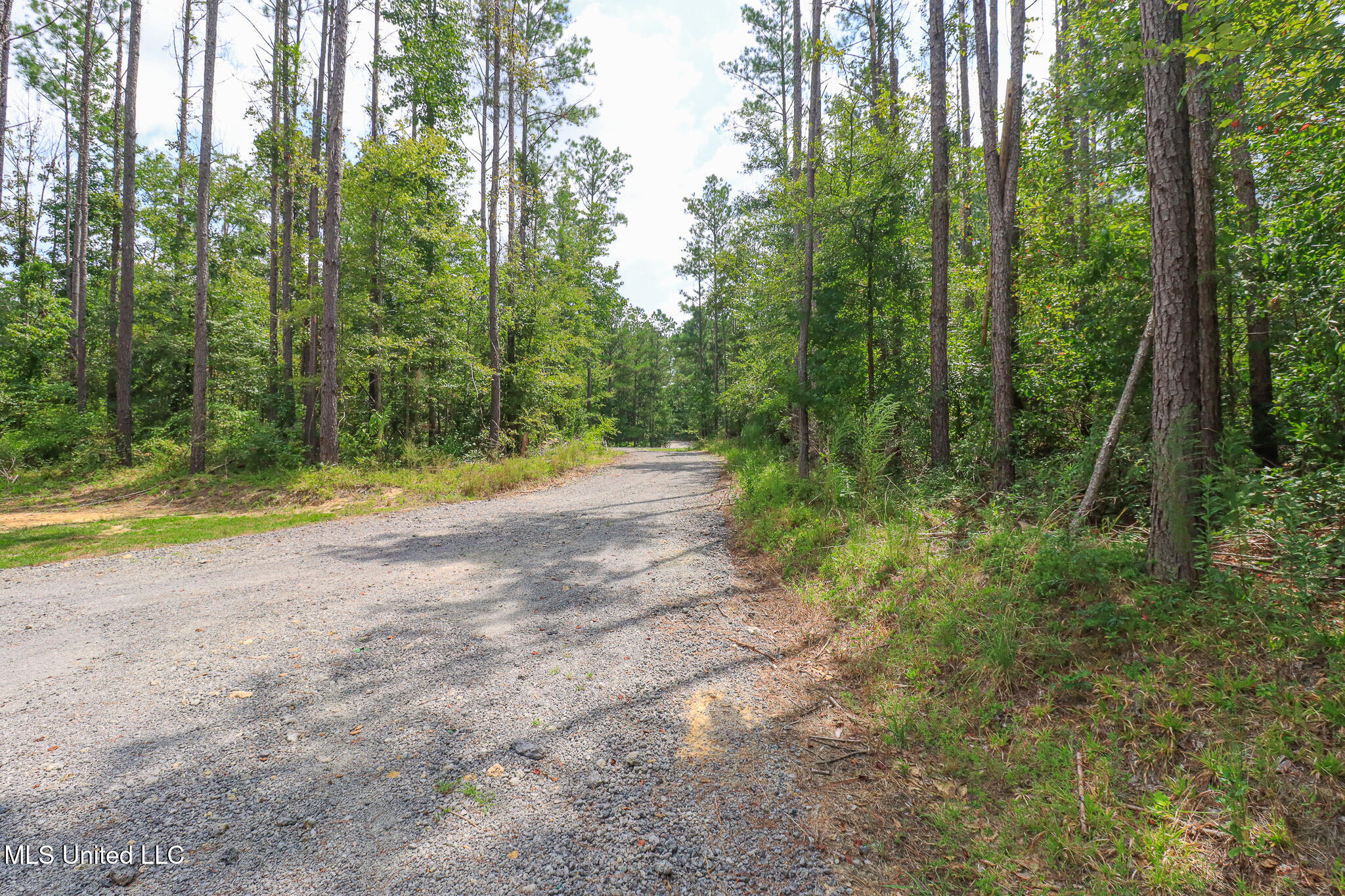 3131 Highway 43 Brandon, MS 39047 - Photo 56 of 58 shop drive