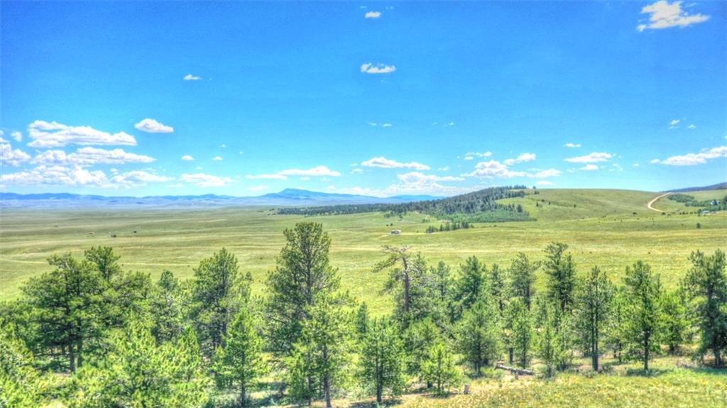 7209 Ranch Road Hartsel, CO 80449 - Photo 1 of 27 a view of an ocean from a balcony