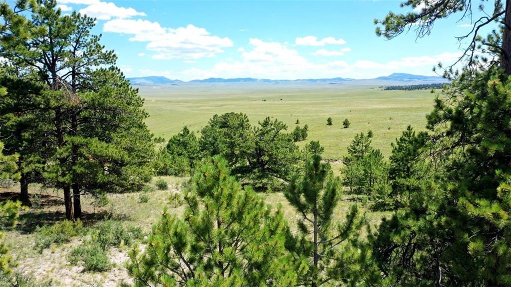 7209 Ranch Road Hartsel, CO 80449 - Photo 19 of 27 a view of an ocean and a yard