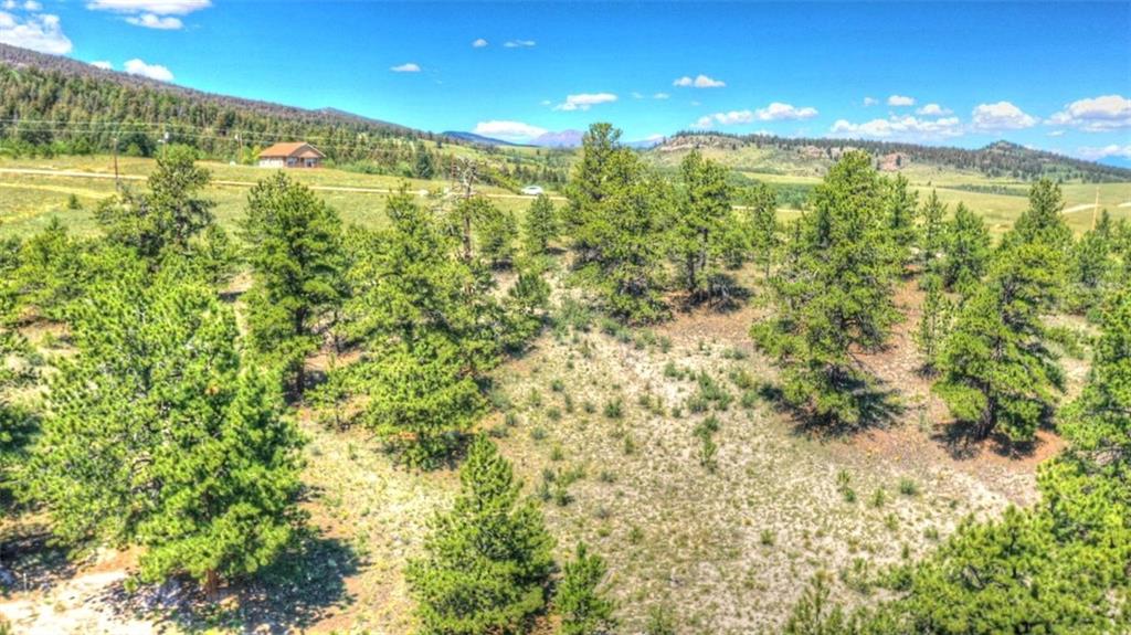 7209 Ranch Road Hartsel, CO 80449 - Photo 7 of 27 a view of a large building with lots of trees