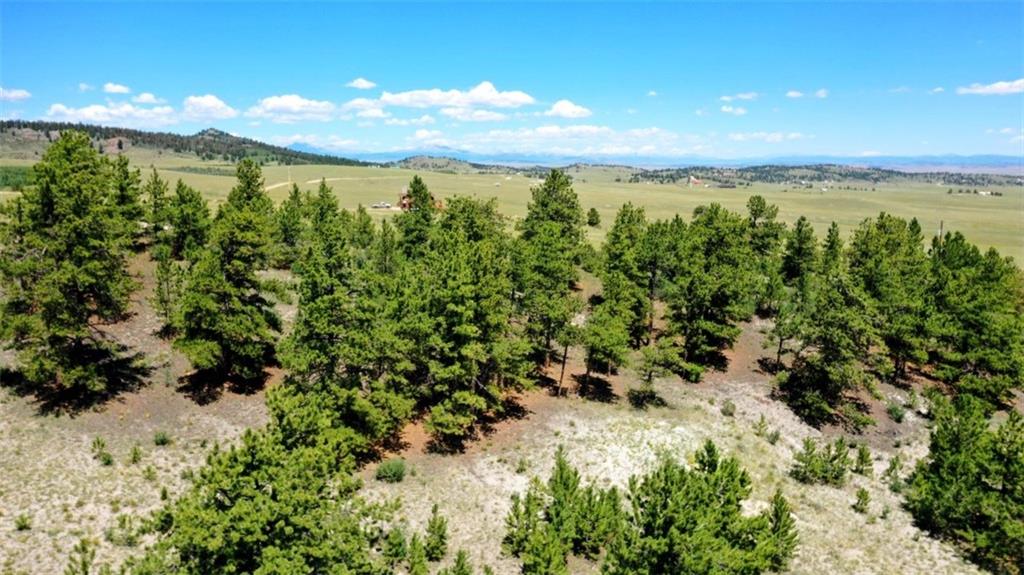 7209 Ranch Road Hartsel, CO 80449 - Photo 8 of 27 a view of an ocean and a yard