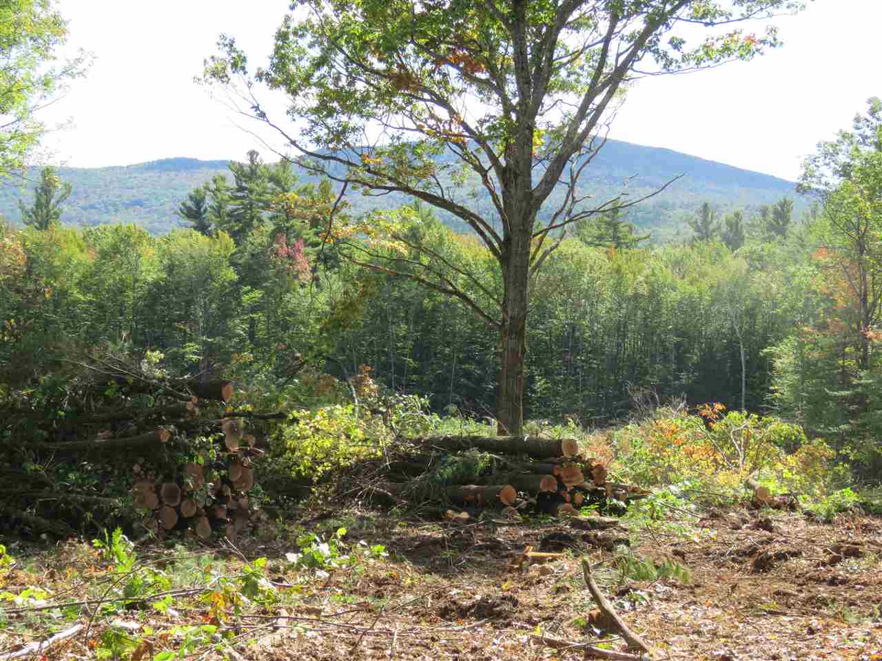 Gould Hill Road Greenfield, NH 03047 - Photo 4 of 9