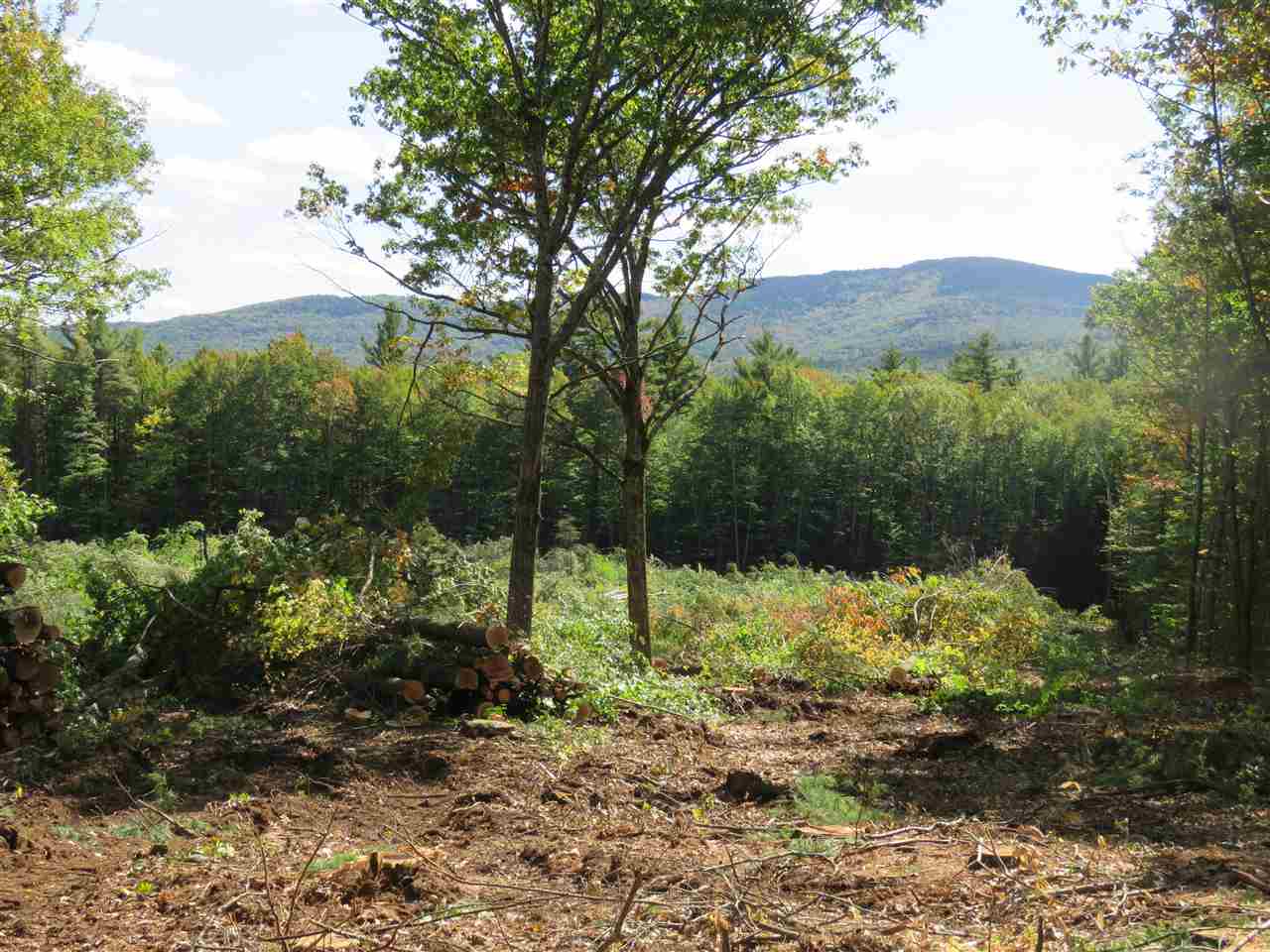 Gould Hill Road Greenfield, NH 03047 - Photo 6 of 9