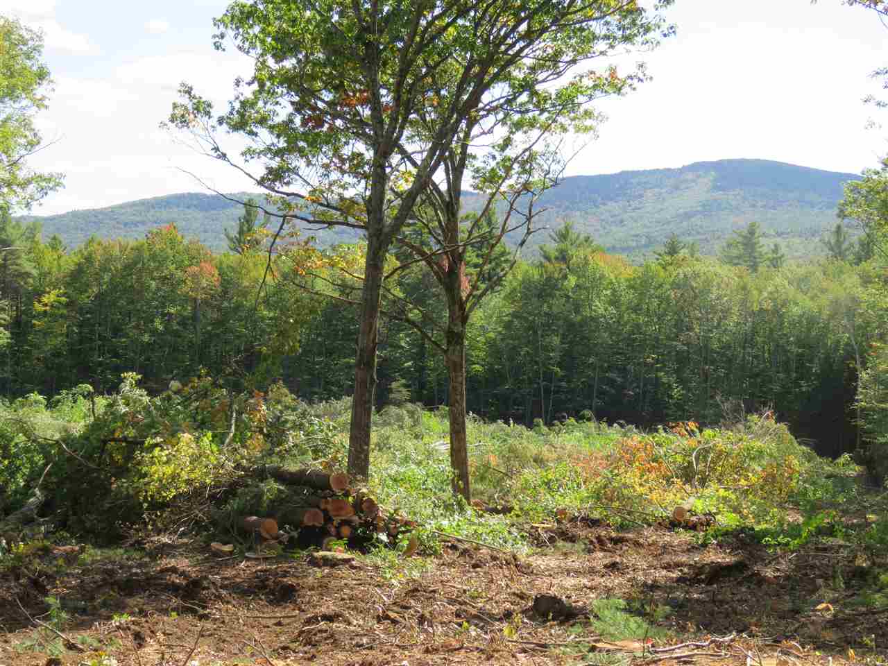 Gould Hill Road Greenfield, NH 03047 - Photo 8 of 9
