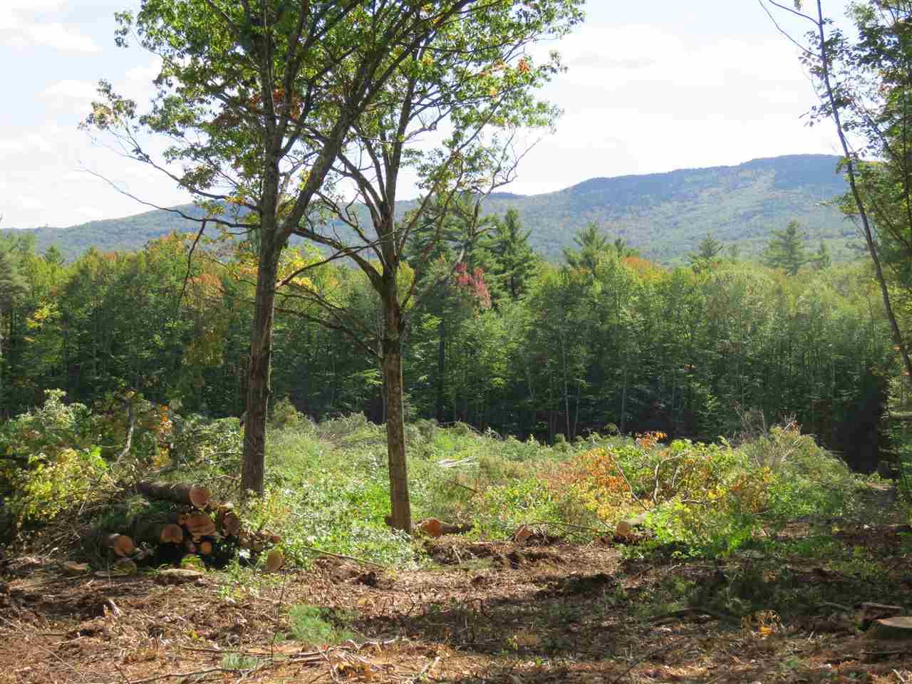 Gould Hill Road Greenfield, NH 03047 - Photo 9 of 9
