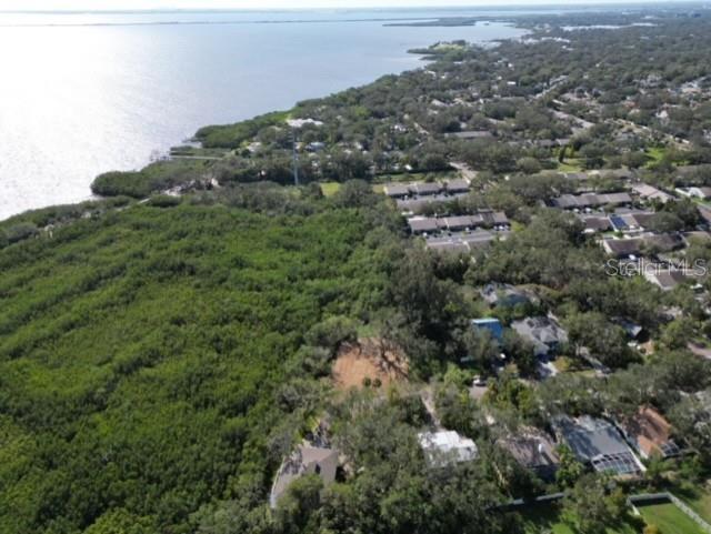 Irwin Street Safety Harbor, FL 34695 - Photo 11 of 14