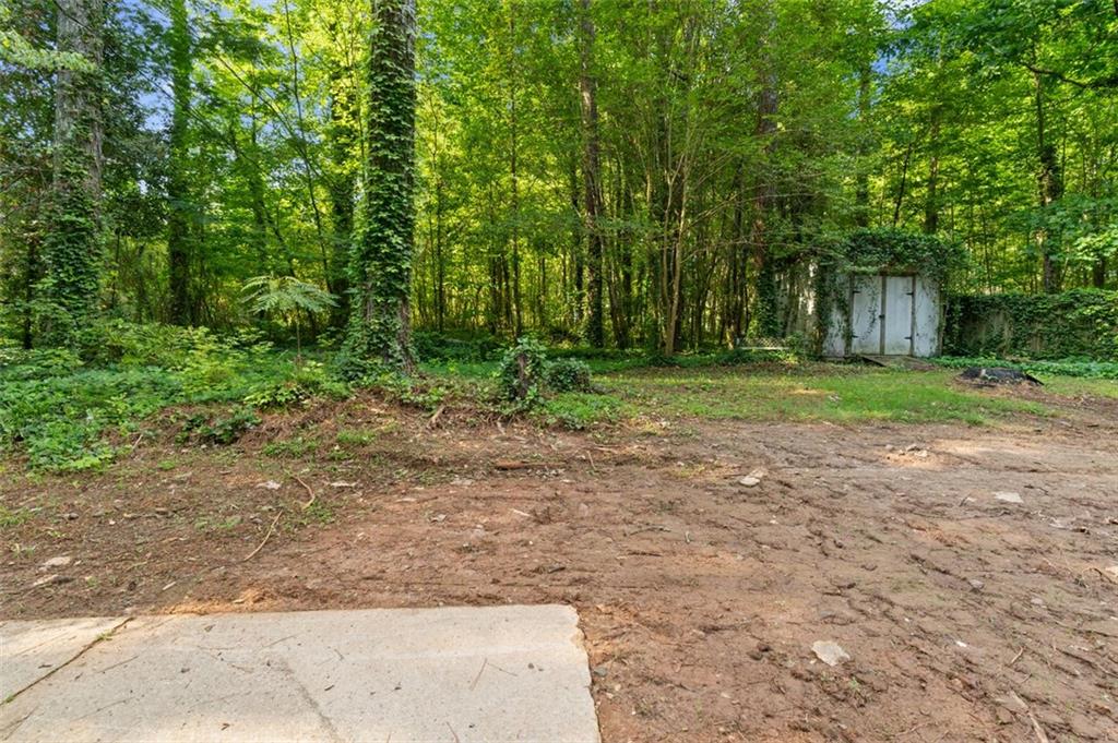 2984 East Paulding Drive Dallas, GA 30157 - Photo 10 of 35 a view of a yard with plants and trees