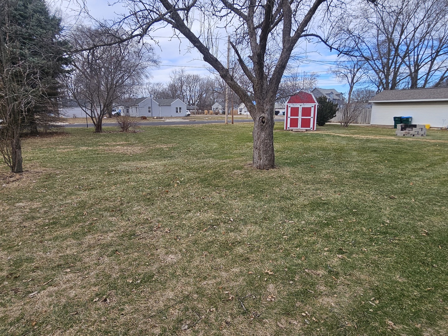 1504 Flock Avenue Rock Falls, IL 61071 - Photo 20 of 25 a view of large trees with a yard