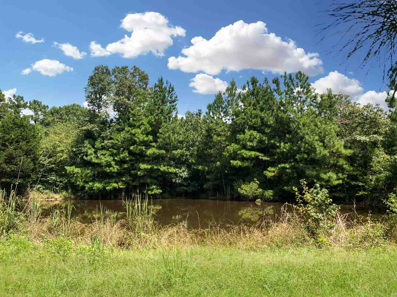 0 Rehobeth Road Pelahatchie, MS 39145 - Photo 1 of 4 Photo 1