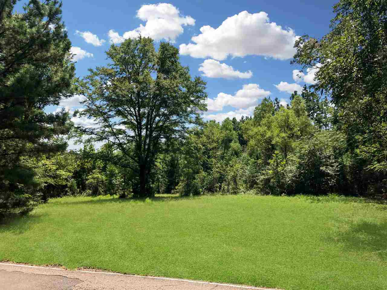 0 Rehobeth Road Pelahatchie, MS 39145 - Photo 2 of 4 Photo 2
