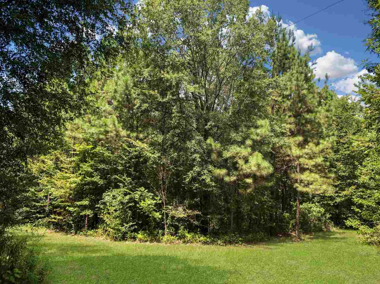 0 Rehobeth Road Pelahatchie, MS 39145 - Photo 4 of 4 Photo 4