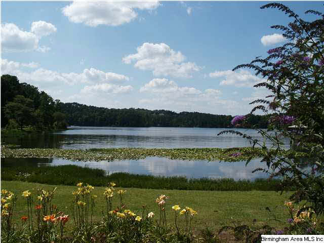 Lakeshore Drive, Unit 3D Oneonta, AL 35121 - Photo 9 of 16