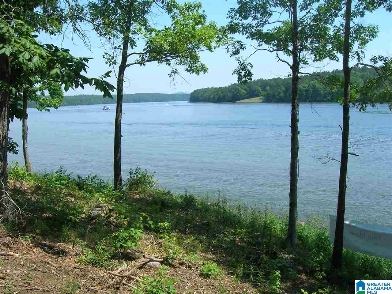 Stillwaters Trail Sylacauga, AL 35151 - Photo 6 of 30