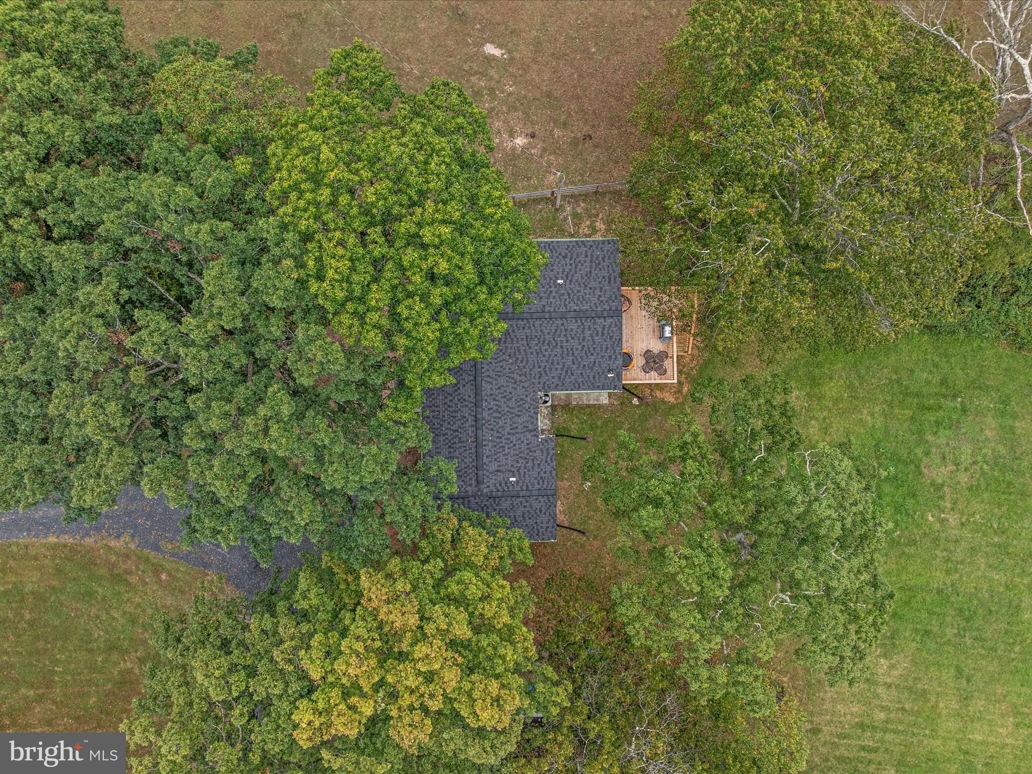 790 McDonald Road Winchester, VA 22602 - Photo 36 of 36 a view of a yard with plants