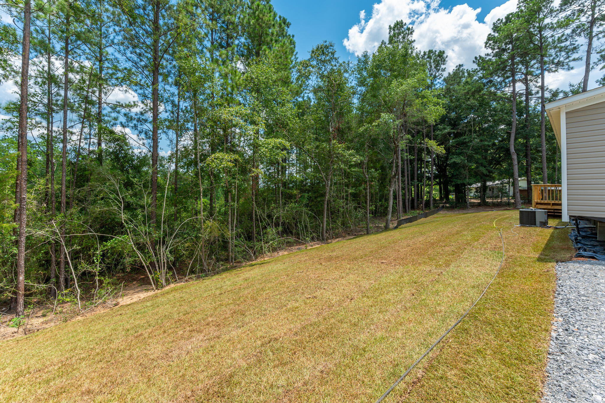 5227 Richardson Road Crestview, FL 32539 - Photo 37 of 44 a view of a yard with trees