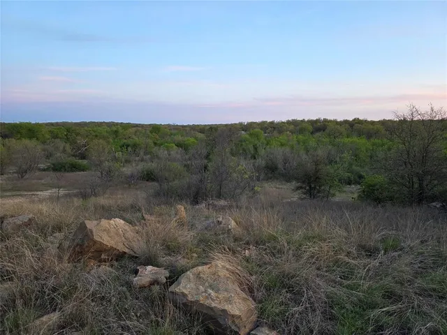 a view of a forest with trees in the background