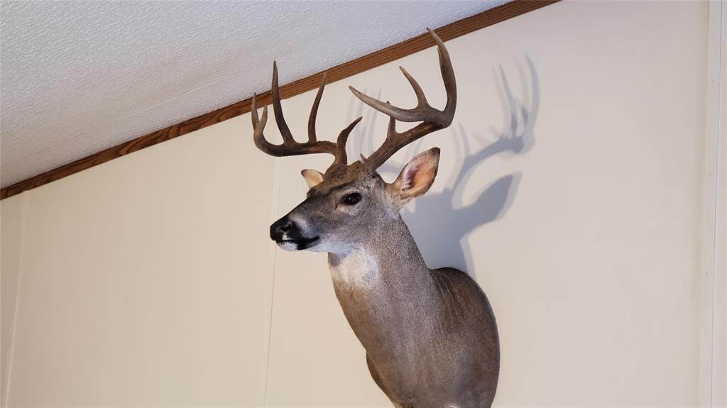 0 Co Road Gorman, TX 76454 - Photo 13 of 25 a view of entryway