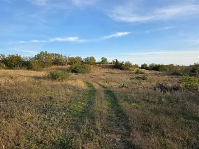 a view of a lake in middle of forest