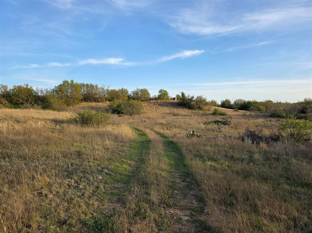 0 Co Road Gorman, TX 76454 - Photo 14 of 25 a view of a lake in middle of forest