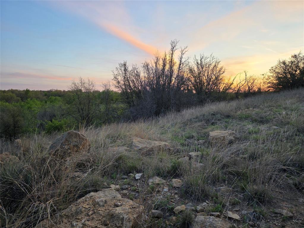 0 Co Road Gorman, TX 76454 - Photo 2 of 25 a view of a lush green forest with lots of trees