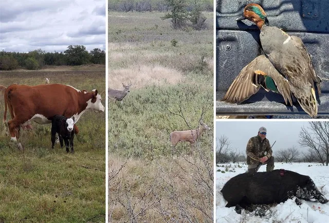 $1,400,000 | 0 Co Road, Gorman, TX 76454