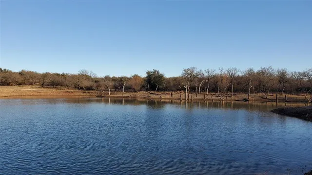 a view of lake with boats and trees in the background