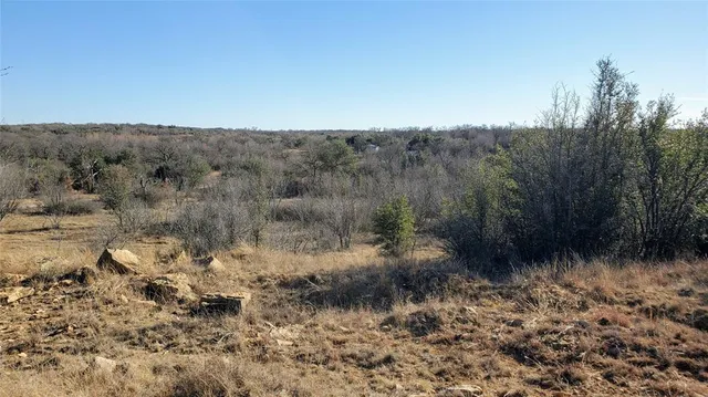 a view of a yard with a tree