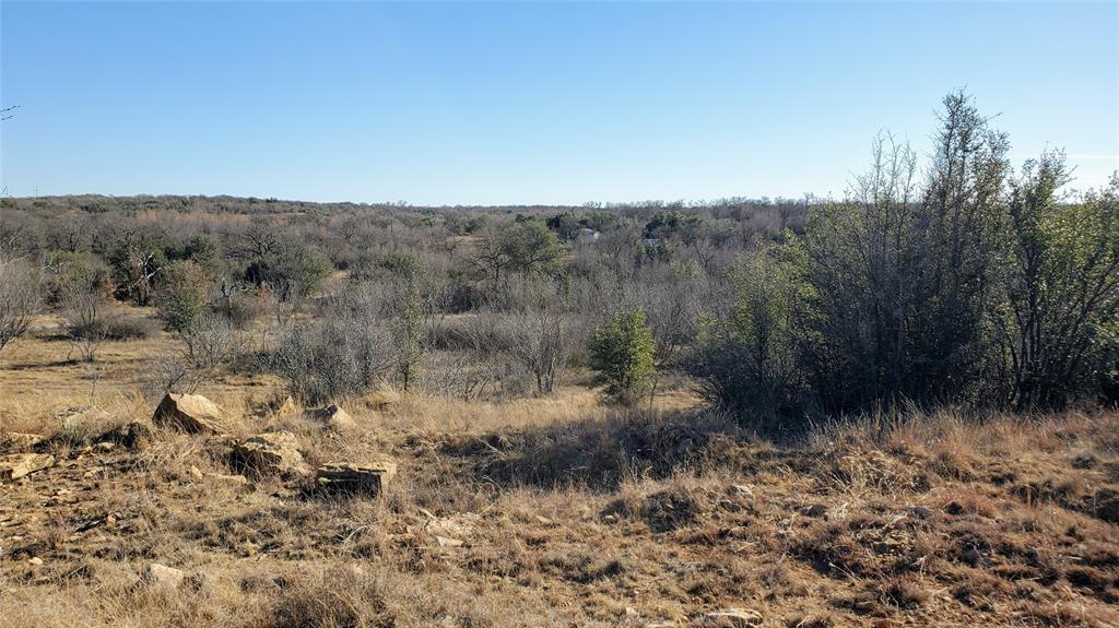 0 Co Road Gorman, TX 76454 - Photo 6 of 25 a view of a yard with a tree