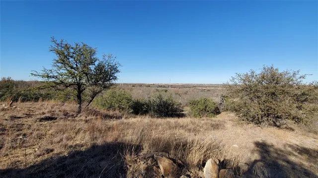 a view of a yard with a tree