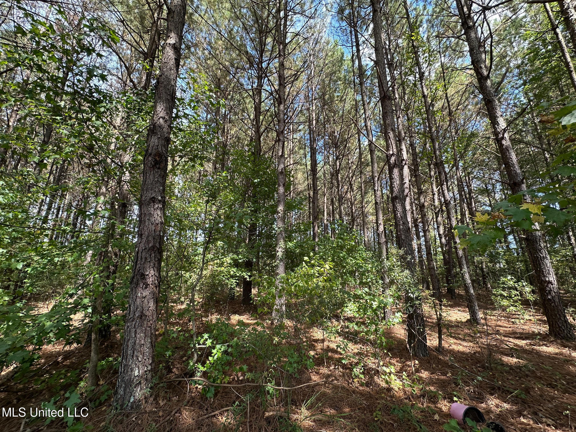 624 Caraway Road Hickory, MS 39332 - Photo 11 of 23 11