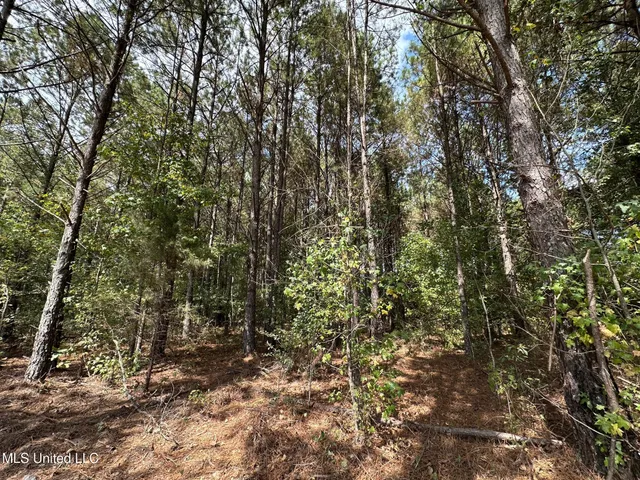 $125,000 | 624 Caraway Road, Hickory, MS 39332