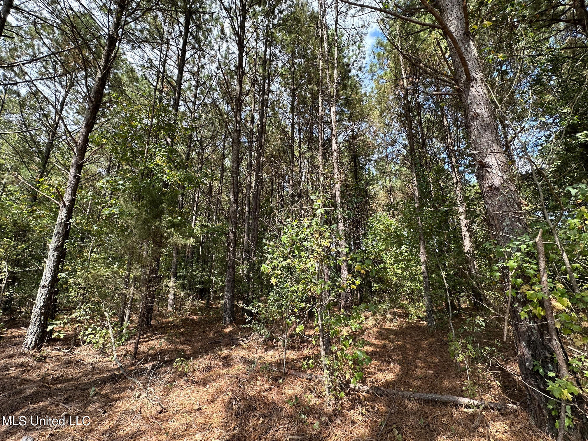 624 Caraway Road Hickory, MS 39332 - Photo 12 of 23 12