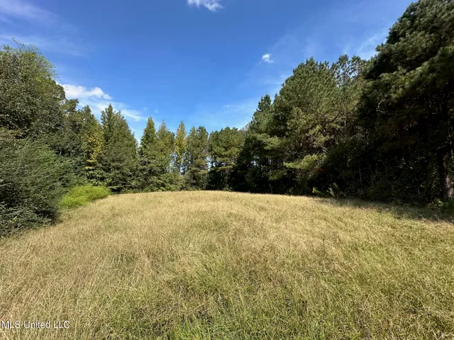 $125,000 | 624 Caraway Road, Hickory, MS 39332