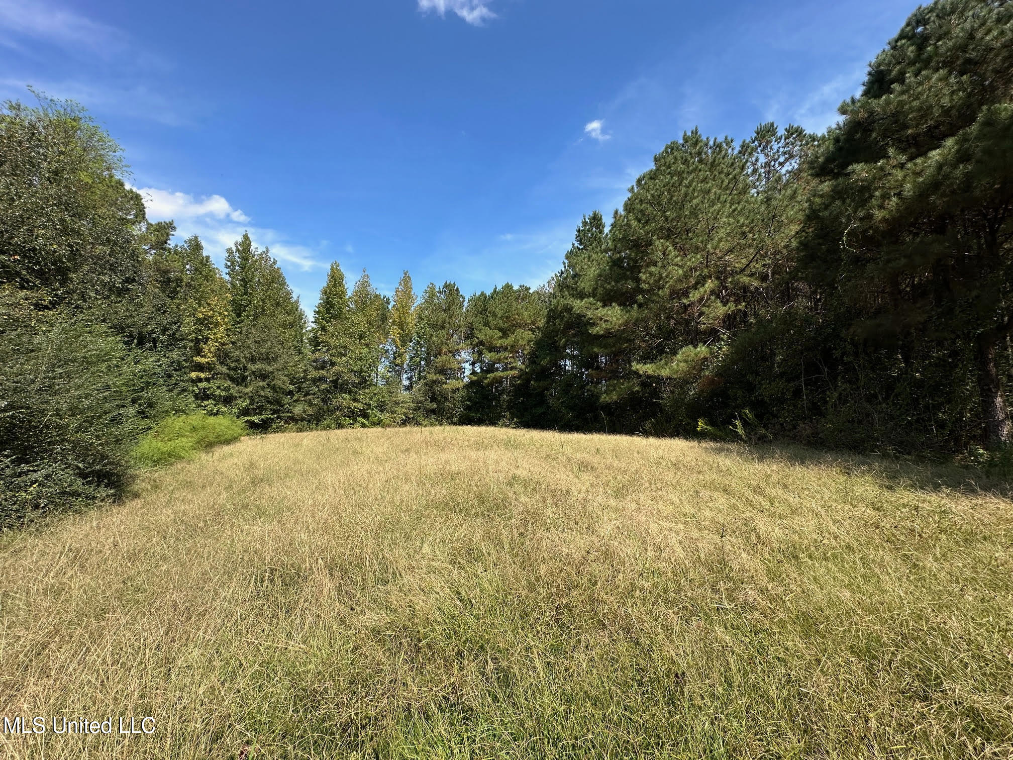624 Caraway Road Hickory, MS 39332 - Photo 2 of 23 1