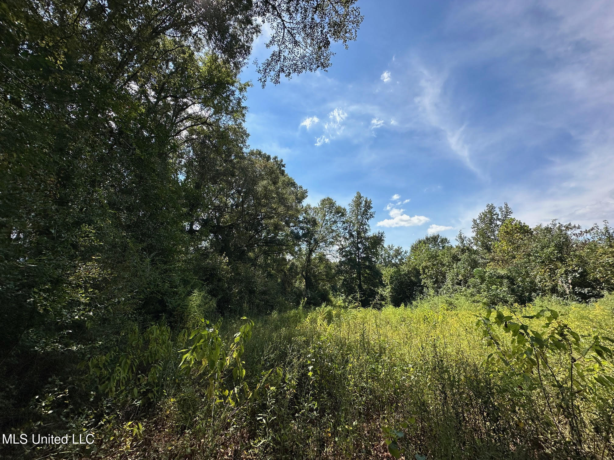 624 Caraway Road Hickory, MS 39332 - Photo 3 of 23 2