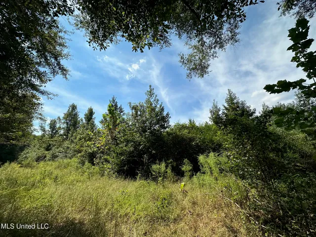 $125,000 | 624 Caraway Road, Hickory, MS 39332