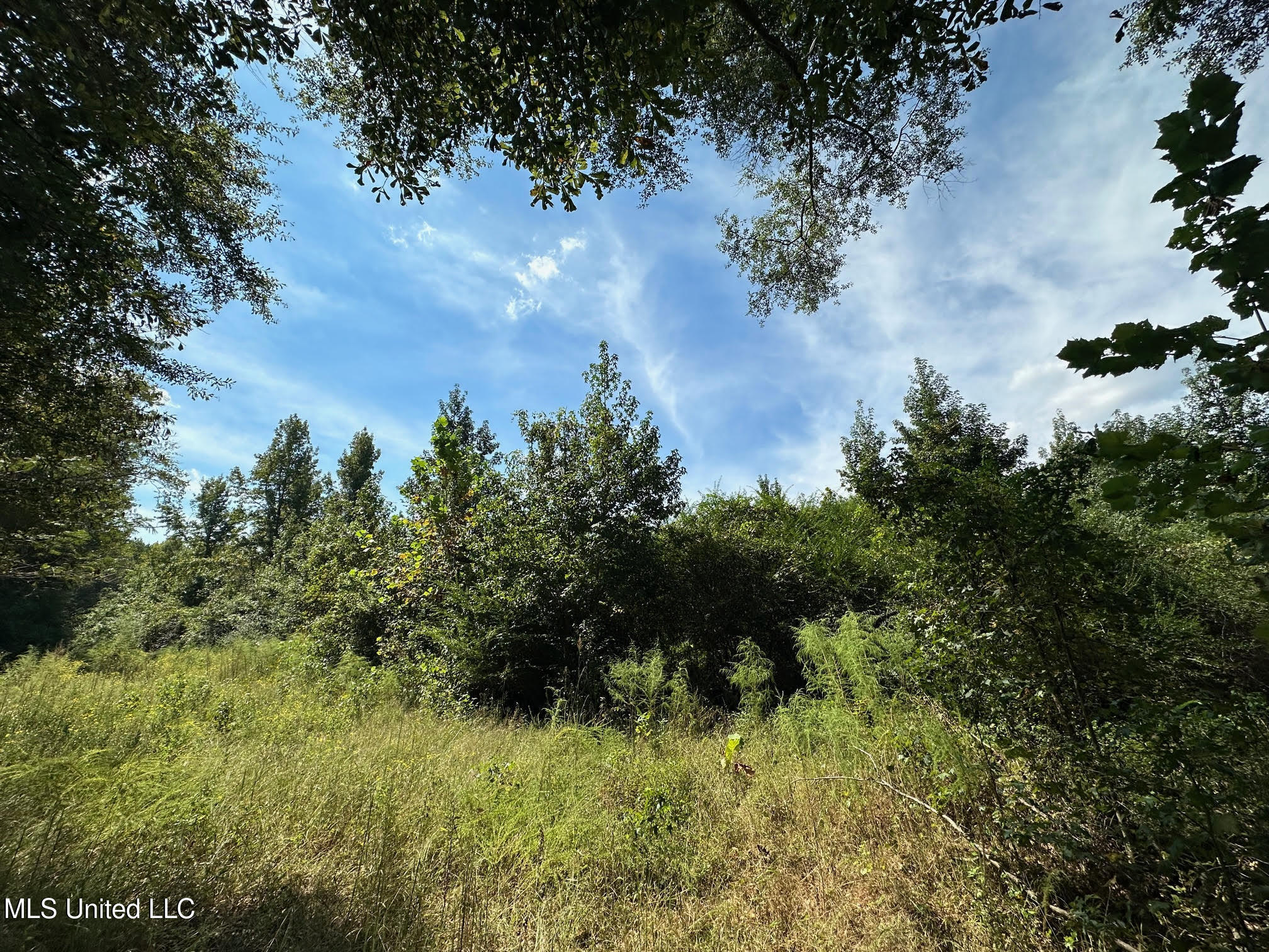 624 Caraway Road Hickory, MS 39332 - Photo 5 of 23 4