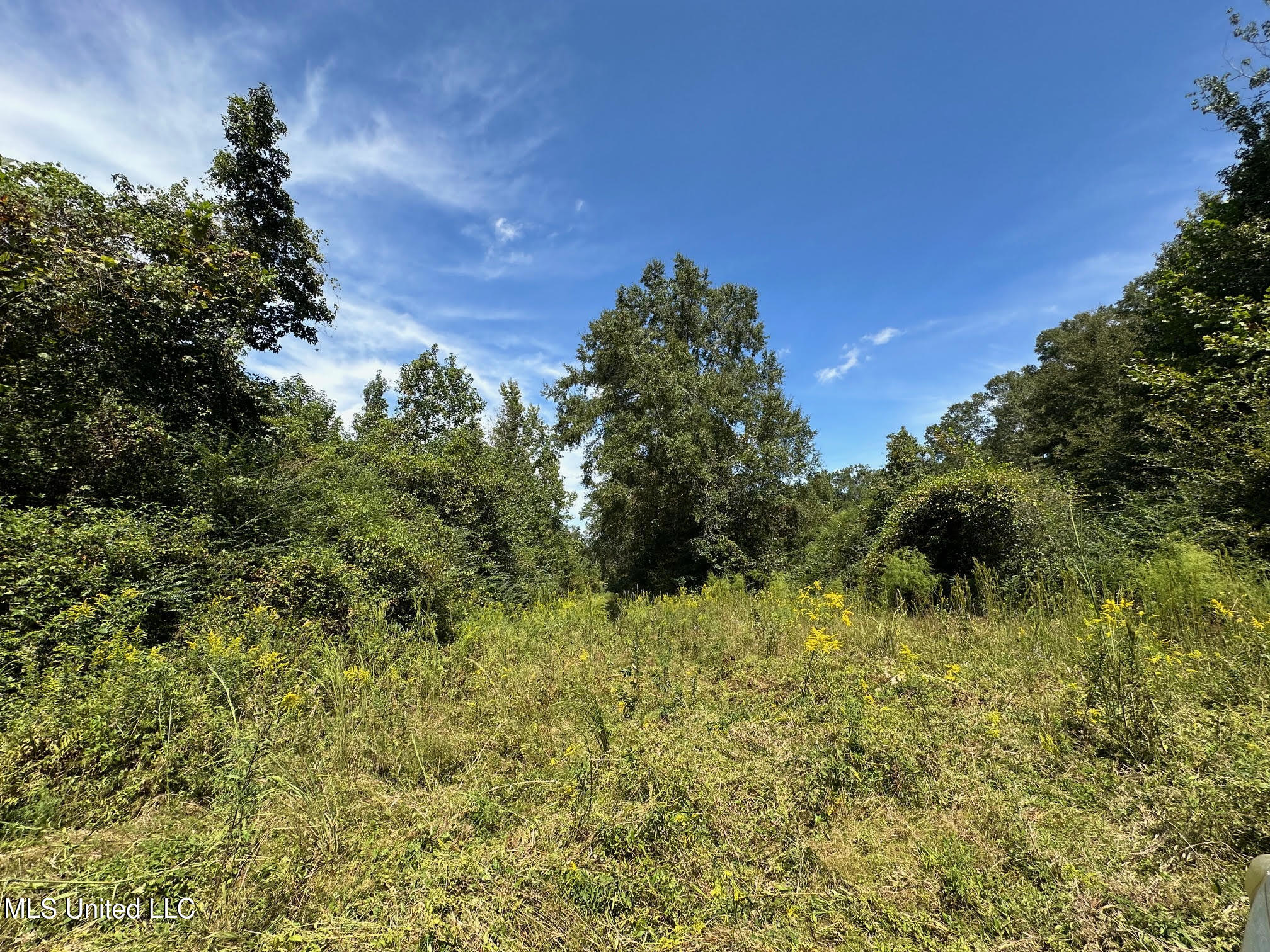 624 Caraway Road Hickory, MS 39332 - Photo 6 of 23 5