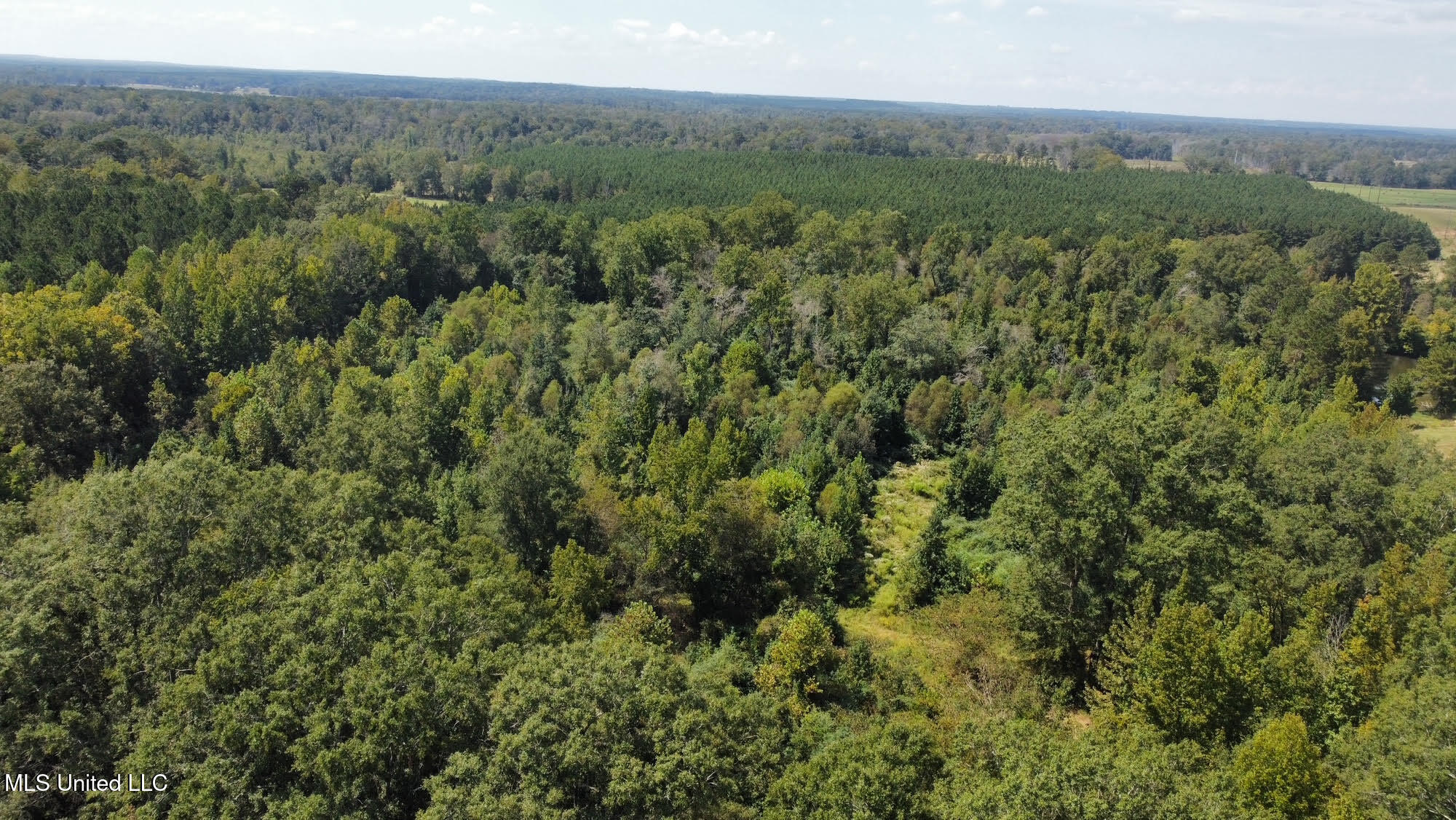 624 Caraway Road Hickory, MS 39332 - Photo 7 of 23 6