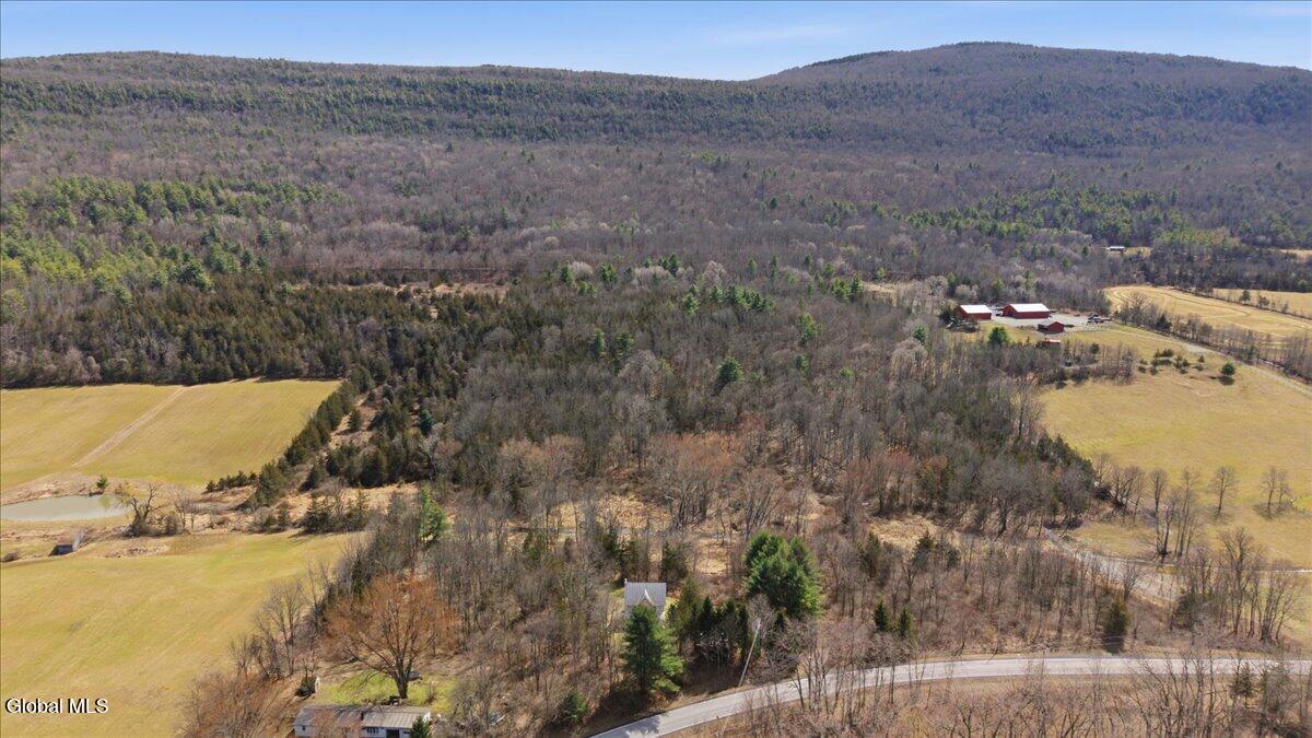1216 Clauverwie Road Middleburgh, NY 12122 - Photo 8 of 35 02-002_DJI_20260327135312_0005_D_JKT