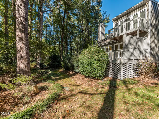 a view of a yard with plants and large trees